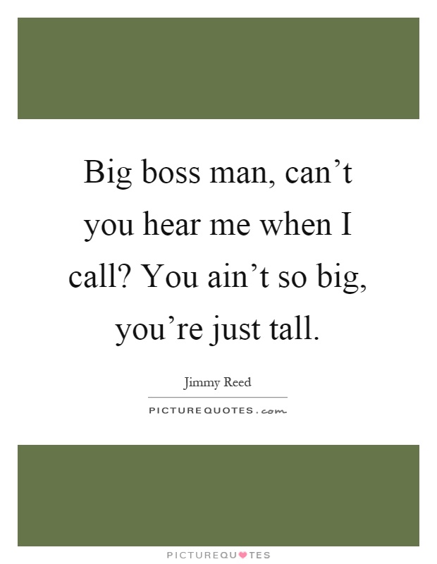 Big boss man, can't you hear me when I call? You ain't so big, you're just tall Picture Quote #1