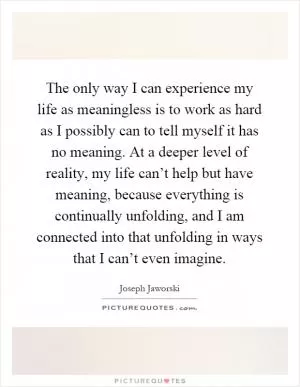 The only way I can experience my life as meaningless is to work as hard as I possibly can to tell myself it has no meaning. At a deeper level of reality, my life can’t help but have meaning, because everything is continually unfolding, and I am connected into that unfolding in ways that I can’t even imagine Picture Quote #1
