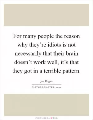 For many people the reason why they’re idiots is not necessarily that their brain doesn’t work well, it’s that they got in a terrible pattern Picture Quote #1