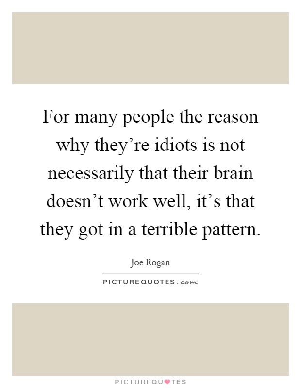 For many people the reason why they're idiots is not necessarily that their brain doesn't work well, it's that they got in a terrible pattern Picture Quote #1