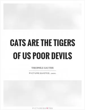 Cats are the tigers of us poor devils Picture Quote #1
