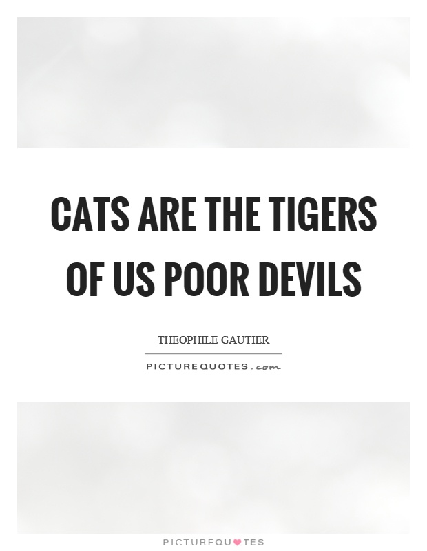 Cats are the tigers of us poor devils Picture Quote #1