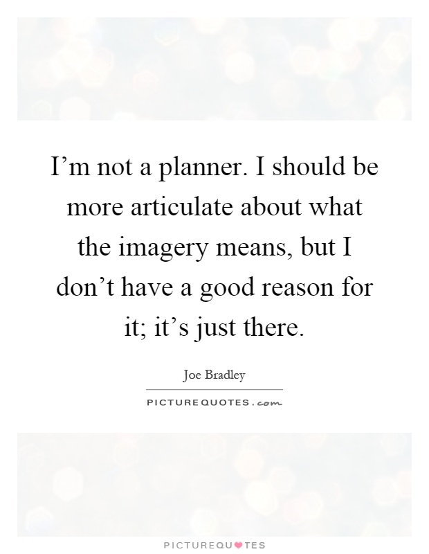 I'm not a planner. I should be more articulate about what the imagery means, but I don't have a good reason for it; it's just there Picture Quote #1