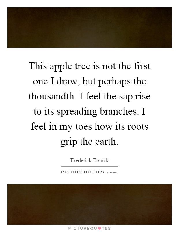 This apple tree is not the first one I draw, but perhaps the thousandth. I feel the sap rise to its spreading branches. I feel in my toes how its roots grip the earth Picture Quote #1