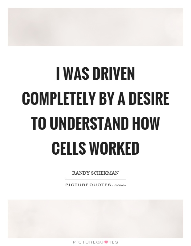 I was driven completely by a desire to understand how cells worked Picture Quote #1