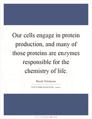 Our cells engage in protein production, and many of those proteins are enzymes responsible for the chemistry of life Picture Quote #1