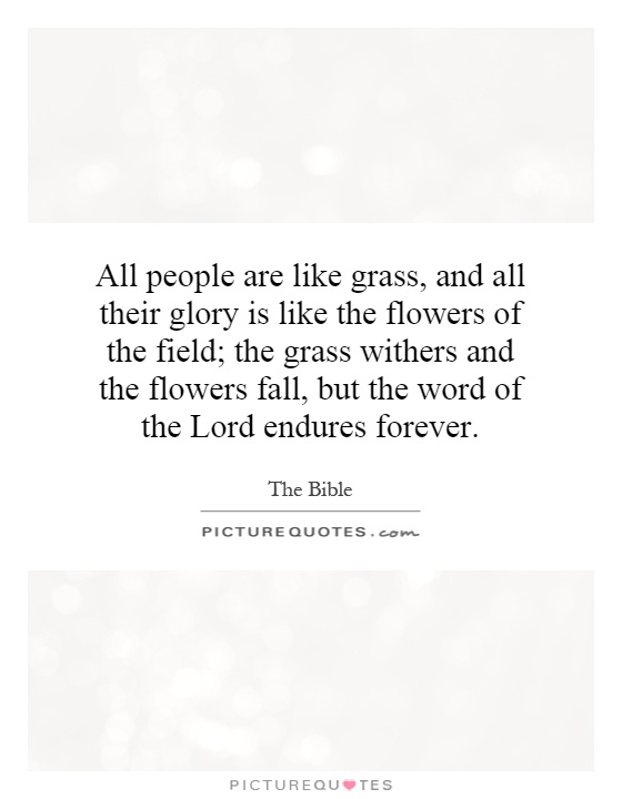 All people are like grass, and all their glory is like the flowers of the field; the grass withers and the flowers fall, but the word of the Lord endures forever Picture Quote #1