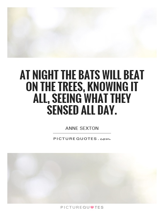 At night the bats will beat on the trees, knowing it all, seeing what they sensed all day Picture Quote #1