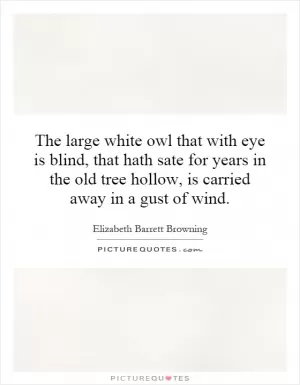 The large white owl that with eye is blind, that hath sate for years in the old tree hollow, is carried away in a gust of wind Picture Quote #1