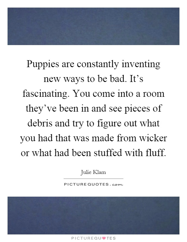 Puppies are constantly inventing new ways to be bad. It's fascinating. You come into a room they've been in and see pieces of debris and try to figure out what you had that was made from wicker or what had been stuffed with fluff Picture Quote #1