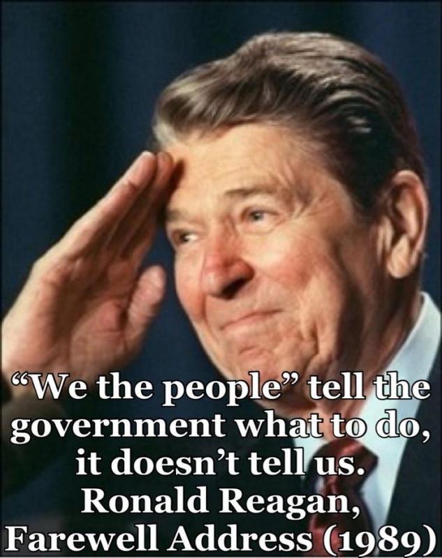 We the people tell the government what to do, it doesn't tell us Picture Quote #1