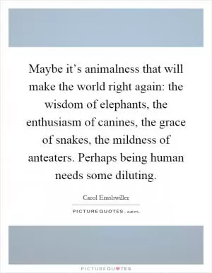 Maybe it’s animalness that will make the world right again: the wisdom of elephants, the enthusiasm of canines, the grace of snakes, the mildness of anteaters. Perhaps being human needs some diluting Picture Quote #1