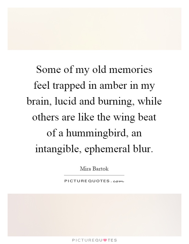 Some of my old memories feel trapped in amber in my brain, lucid and burning, while others are like the wing beat of a hummingbird, an intangible, ephemeral blur Picture Quote #1