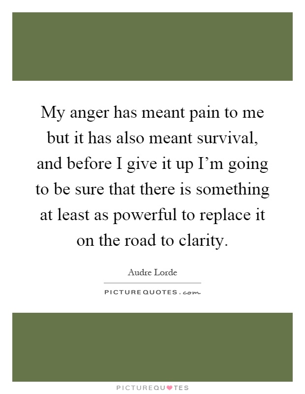 My anger has meant pain to me but it has also meant survival, and before I give it up I'm going to be sure that there is something at least as powerful to replace it on the road to clarity Picture Quote #1