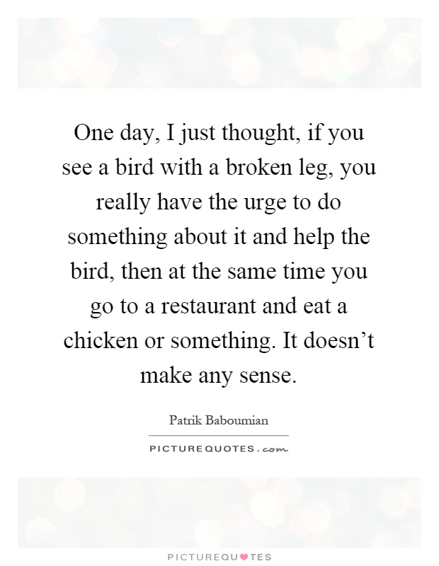 One day, I just thought, if you see a bird with a broken leg, you really have the urge to do something about it and help the bird, then at the same time you go to a restaurant and eat a chicken or something. It doesn't make any sense Picture Quote #1