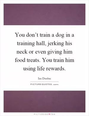 You don’t train a dog in a training hall, jerking his neck or even giving him food treats. You train him using life rewards Picture Quote #1