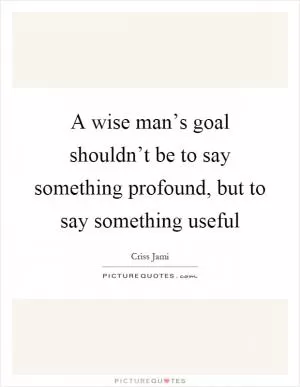 A wise man’s goal shouldn’t be to say something profound, but to say something useful Picture Quote #1