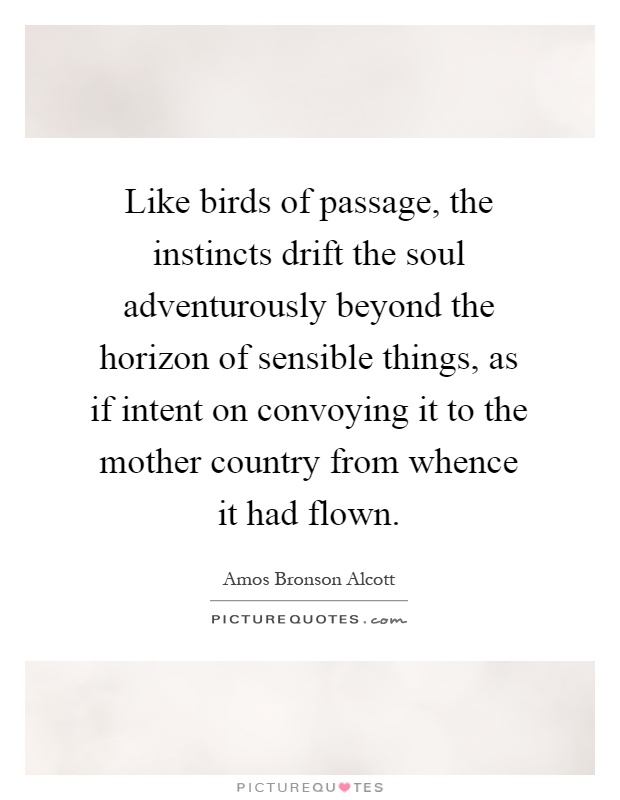 Like birds of passage, the instincts drift the soul adventurously beyond the horizon of sensible things, as if intent on convoying it to the mother country from whence it had flown Picture Quote #1