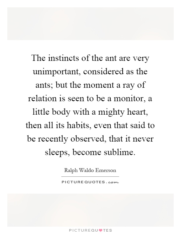The instincts of the ant are very unimportant, considered as the ants; but the moment a ray of relation is seen to be a monitor, a little body with a mighty heart, then all its habits, even that said to be recently observed, that it never sleeps, become sublime Picture Quote #1