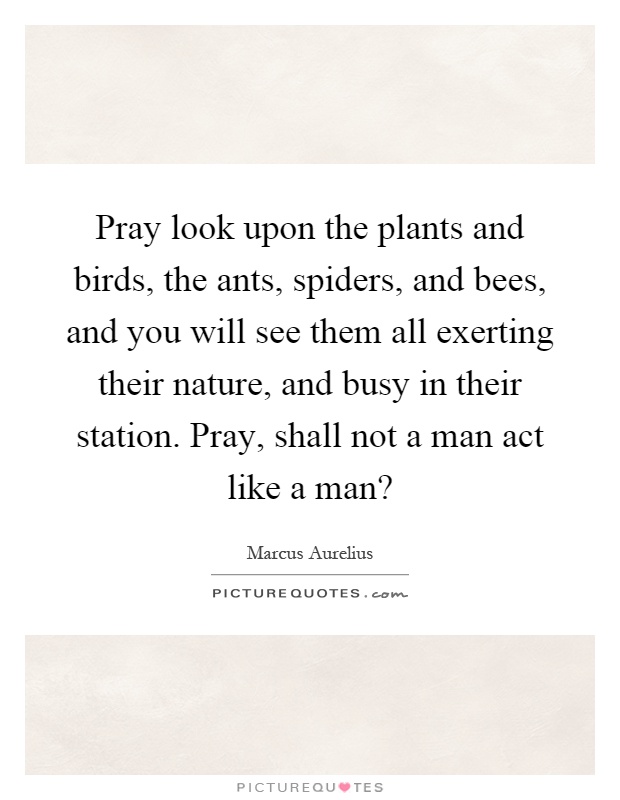 Pray look upon the plants and birds, the ants, spiders, and bees, and you will see them all exerting their nature, and busy in their station. Pray, shall not a man act like a man? Picture Quote #1
