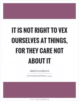 It is not right to vex ourselves at things, for they care not about it Picture Quote #1