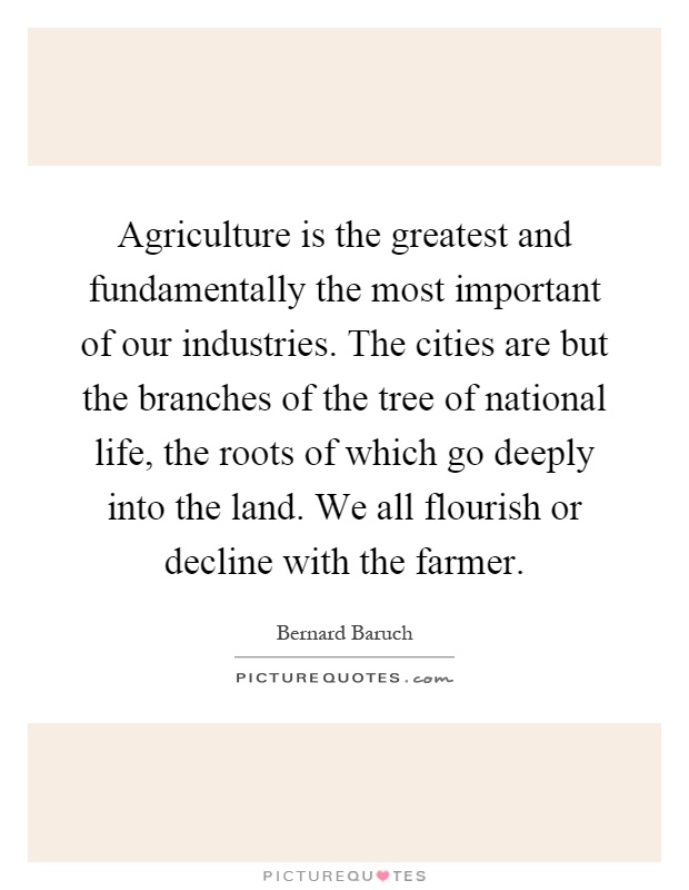 Agriculture is the greatest and fundamentally the most important of our industries. The cities are but the branches of the tree of national life, the roots of which go deeply into the land. We all flourish or decline with the farmer Picture Quote #1