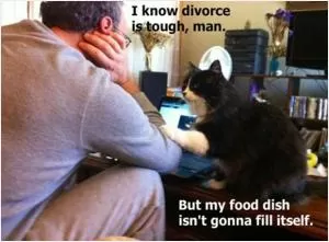 I know divorce is tough man, but my food dish isn’t gonna fill itself Picture Quote #1