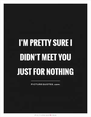 I’m pretty sure I didn’t meet you just for nothing Picture Quote #1