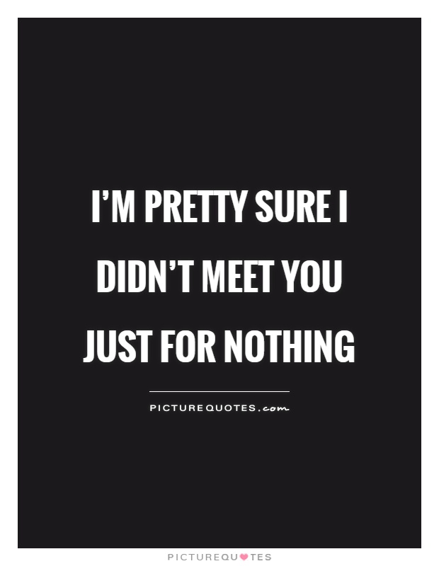 I'm pretty sure I didn't meet you just for nothing Picture Quote #1