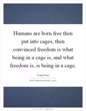 Humans are born free then put into cages, then convinced freedom is what being in a cage is, and what freedom is, is being in a cage Picture Quote #1