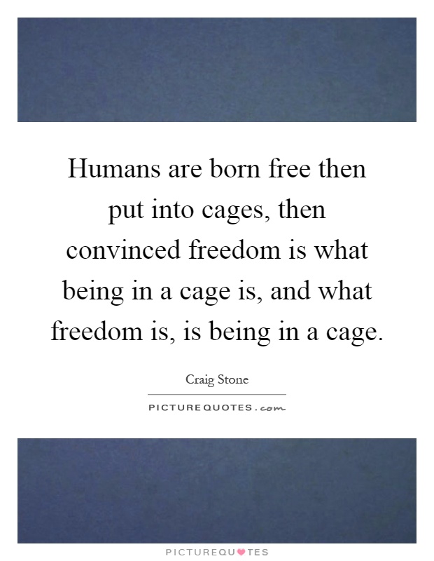 Humans are born free then put into cages, then convinced freedom is what being in a cage is, and what freedom is, is being in a cage Picture Quote #1