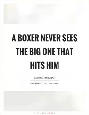 A boxer never sees the big one that hits him Picture Quote #1
