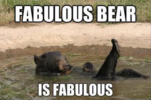 Fabulous bear is fabulous Picture Quote #1