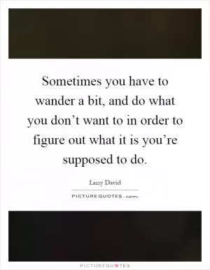 Sometimes you have to wander a bit, and do what you don’t want to in order to figure out what it is you’re supposed to do Picture Quote #1