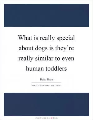 What is really special about dogs is they’re really similar to even human toddlers Picture Quote #1