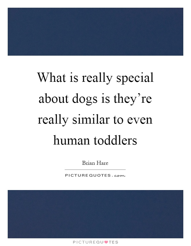 What is really special about dogs is they're really similar to even human toddlers Picture Quote #1