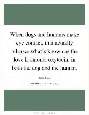 When dogs and humans make eye contact, that actually releases what’s known as the love hormone, oxytocin, in both the dog and the human Picture Quote #1