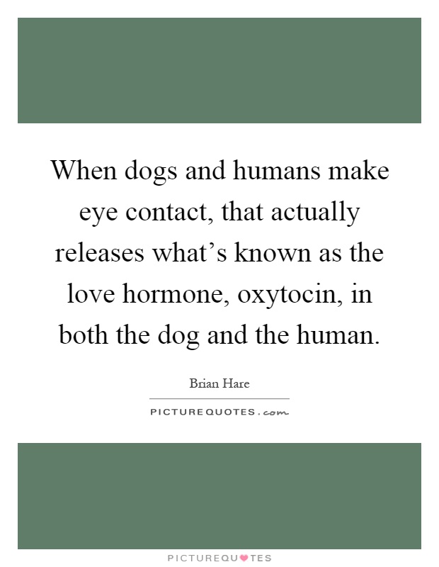When dogs and humans make eye contact, that actually releases what's known as the love hormone, oxytocin, in both the dog and the human Picture Quote #1