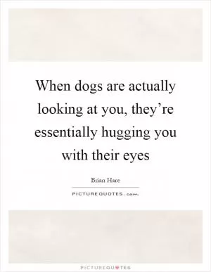 When dogs are actually looking at you, they’re essentially hugging you with their eyes Picture Quote #1