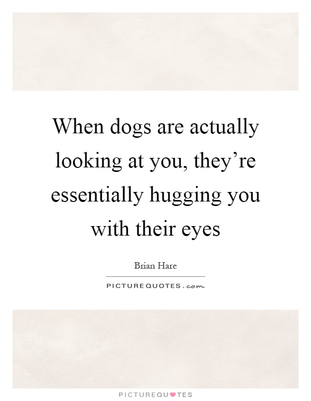 When dogs are actually looking at you, they're essentially hugging you with their eyes Picture Quote #1