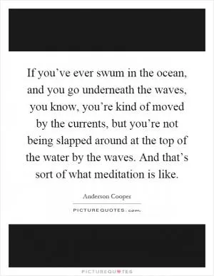If you’ve ever swum in the ocean, and you go underneath the waves, you know, you’re kind of moved by the currents, but you’re not being slapped around at the top of the water by the waves. And that’s sort of what meditation is like Picture Quote #1
