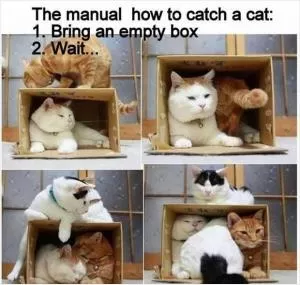 The manual: How to catch a cat: 1. Bring an empty box. 2. Wait Picture Quote #1