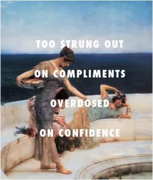 Too stung out on compliments, overdosed on confidence Picture Quote #1