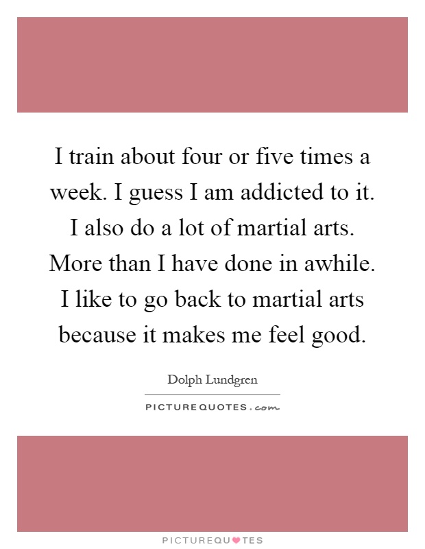 I train about four or five times a week. I guess I am addicted to it. I also do a lot of martial arts. More than I have done in awhile. I like to go back to martial arts because it makes me feel good Picture Quote #1