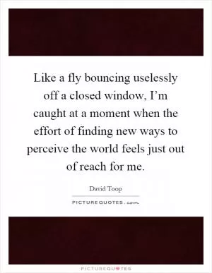 Like a fly bouncing uselessly off a closed window, I’m caught at a moment when the effort of finding new ways to perceive the world feels just out of reach for me Picture Quote #1