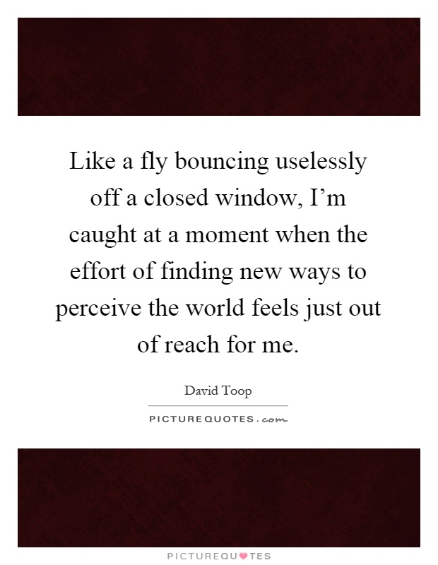 Like a fly bouncing uselessly off a closed window, I'm caught at a moment when the effort of finding new ways to perceive the world feels just out of reach for me Picture Quote #1