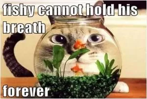 Fishy cannot hold his breath forever Picture Quote #1