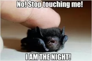 No! stop touching me! I am the night! Picture Quote #1