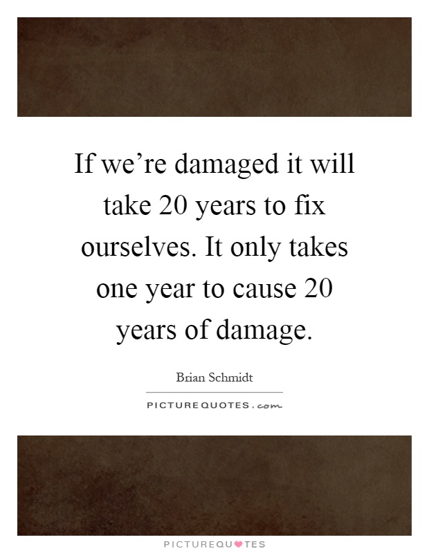 If we're damaged it will take 20 years to fix ourselves. It only takes one year to cause 20 years of damage Picture Quote #1
