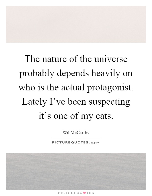 The nature of the universe probably depends heavily on who is the actual protagonist. Lately I've been suspecting it's one of my cats Picture Quote #1
